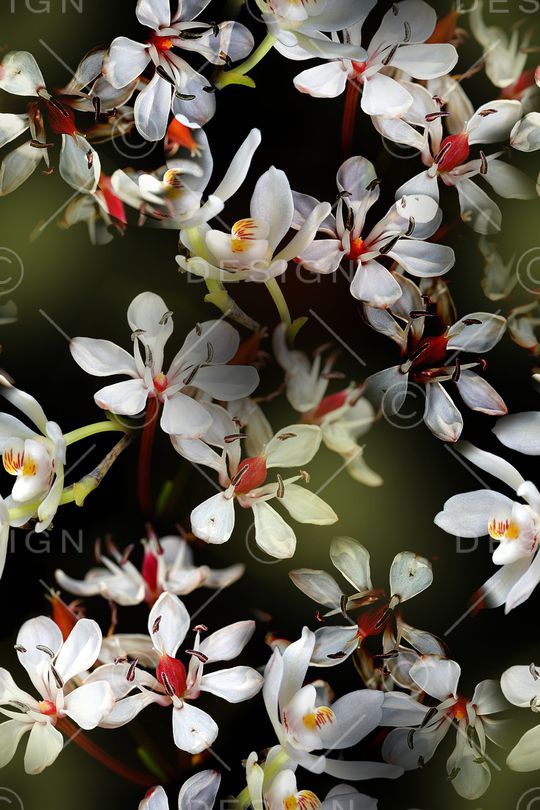 风格化花卉印花华亿平台图片