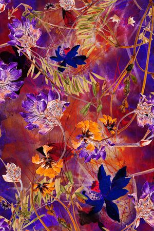 中老年印花华亿平台图片