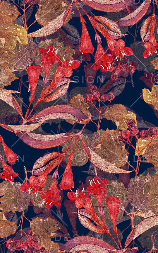 中老年印花华亿平台图片