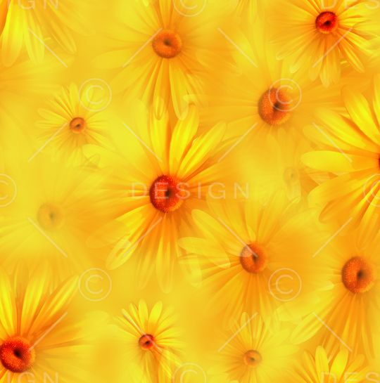 大牌风印花华亿平台图片