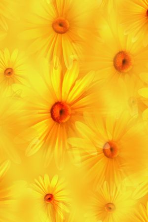 大牌风印花华亿平台图片