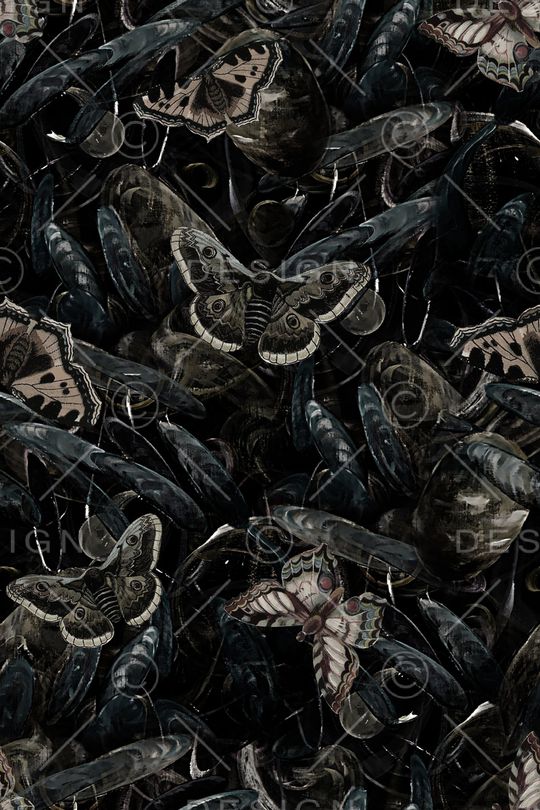 潮牌印花华亿平台图片