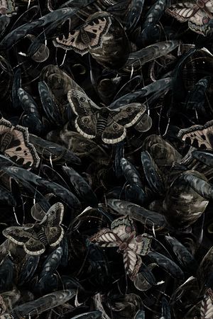 潮牌印花华亿平台图片