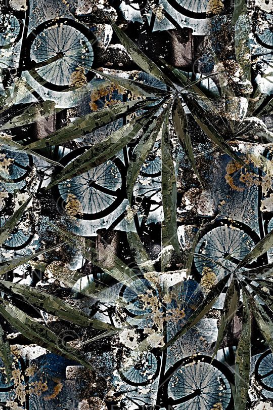 潮牌印花华亿平台图片