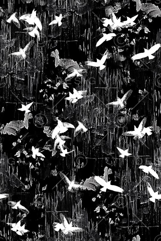 潮牌印花华亿平台图片