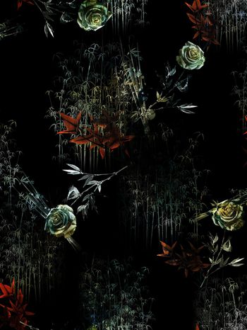 动物印花华亿平台图片