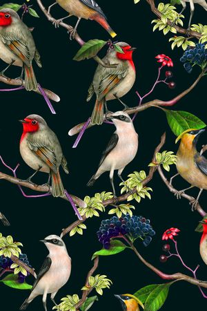 植物印花华亿平台图片