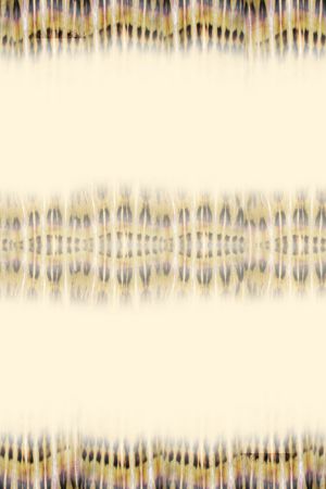 双边定位花印花华亿平台图片