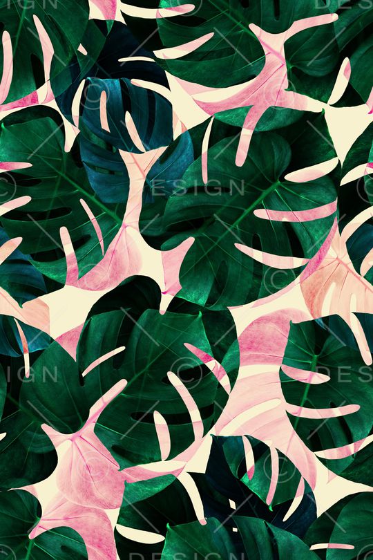 热带鱼印花华亿平台图片