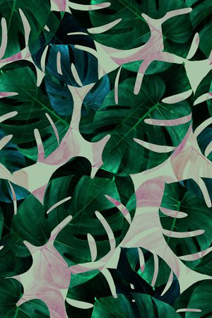 热带鱼印花华亿平台图片