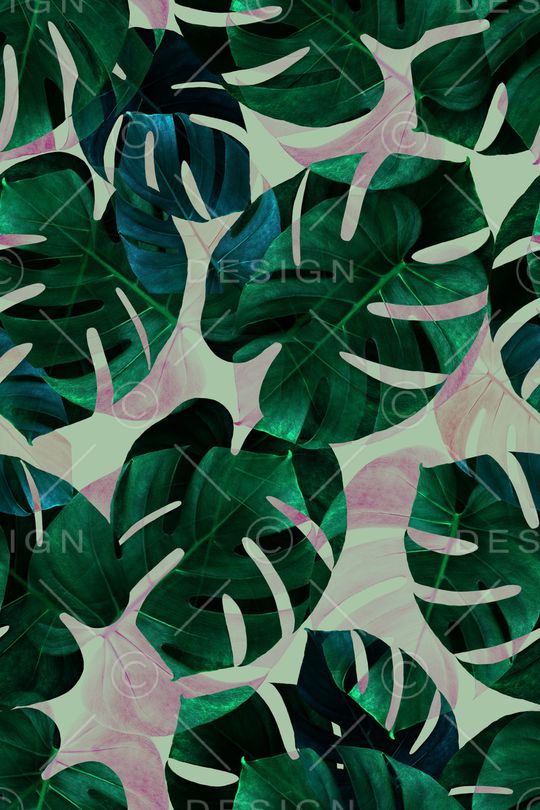 热带鱼印花华亿平台图片