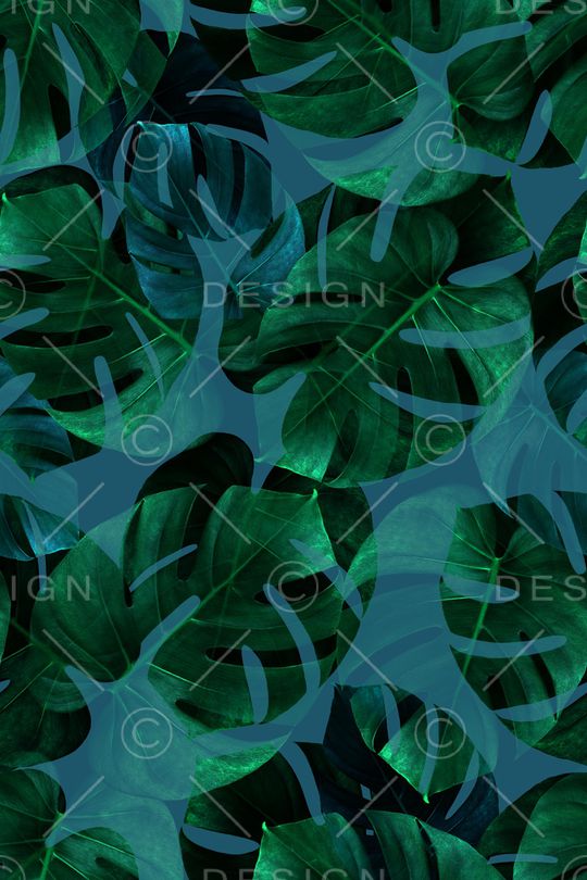 热带鱼印花华亿平台图片