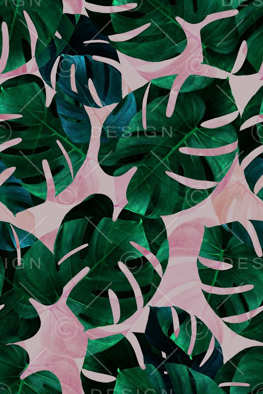 热带鱼印花华亿平台图片