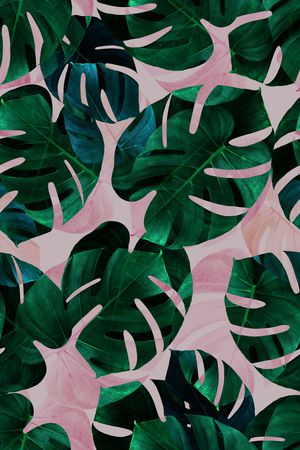 热带鱼印花华亿平台图片