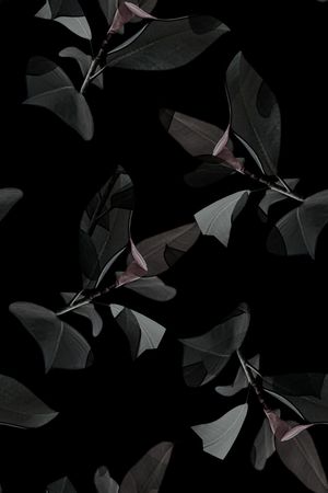 复古印花华亿平台图片