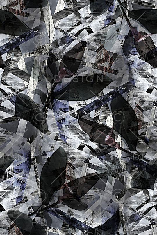 潮牌印花华亿平台图片