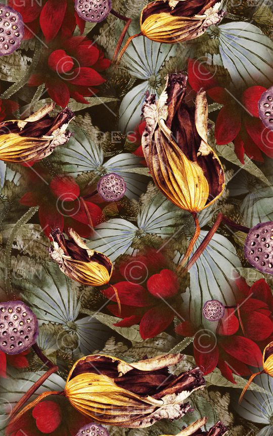 国画印花华亿平台图片