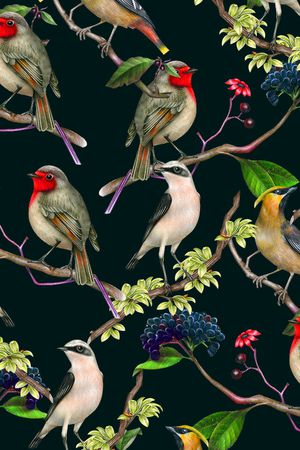 喜鹊印花华亿平台图片