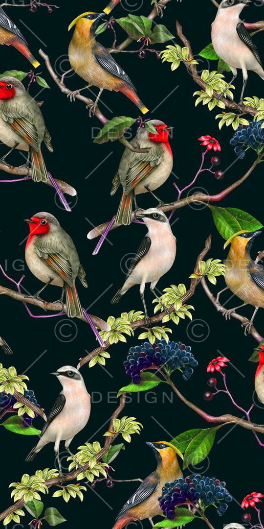 喜鹊印花华亿平台图片