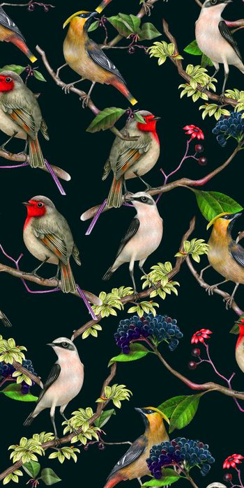 喜鹊印花华亿平台图片