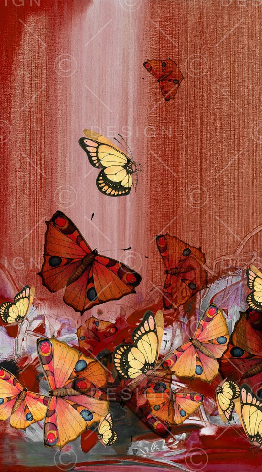 蝴蝶印花华亿平台图片