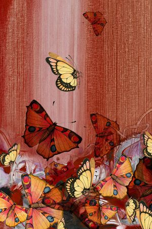 蝴蝶印花华亿平台图片