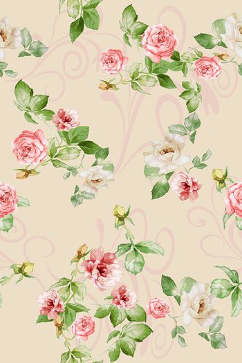 905773-MISSDD-【玫瑰】