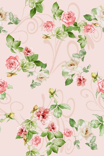 905774-MISSDD-【玫瑰】2