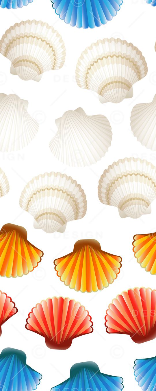 贝壳印花华亿平台图片