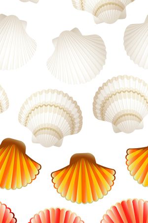 贝壳印花华亿平台图片