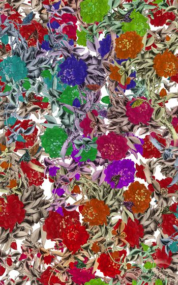 月季花印花华亿平台图片