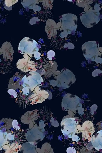 906487-清新的花4