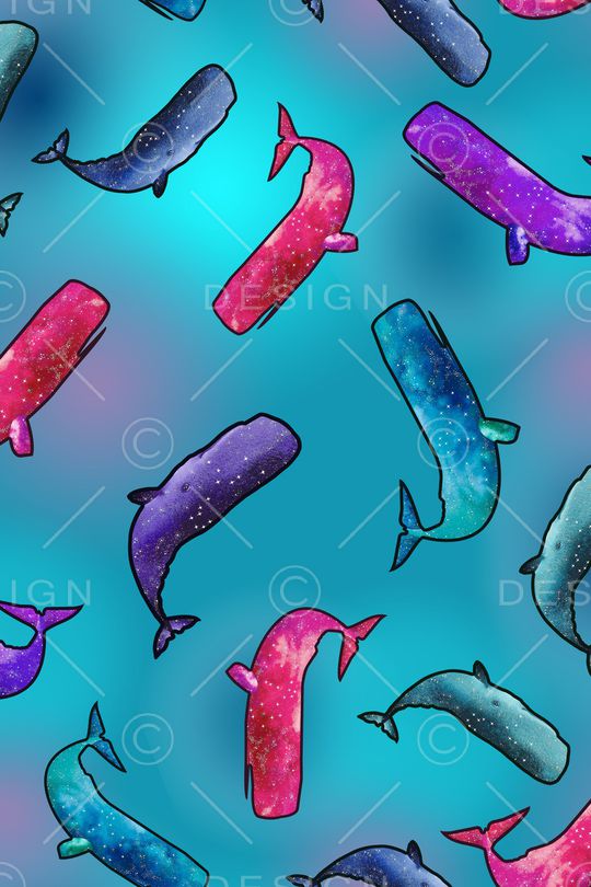 鲸鱼印花华亿平台图片