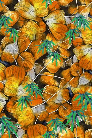 竹子印花华亿平台图片