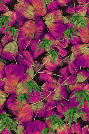 竹子印花华亿平台图片