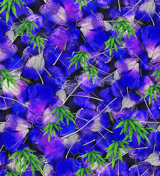 竹子印花华亿平台图片