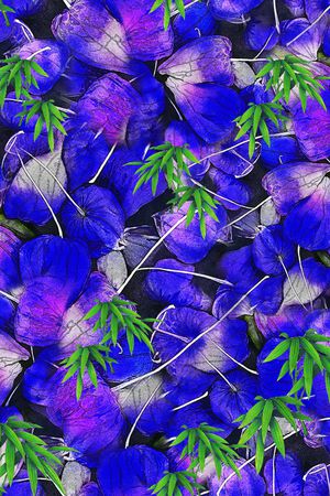 竹子印花华亿平台图片