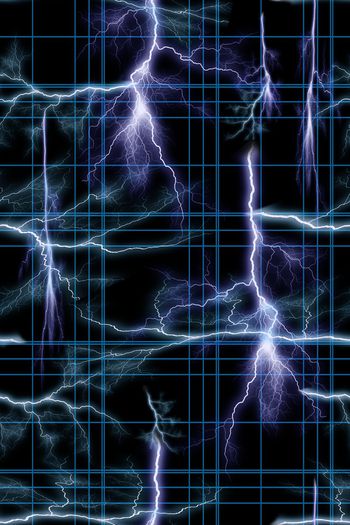 动物印花华亿平台图片