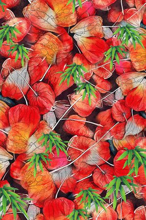 竹子印花华亿平台图片