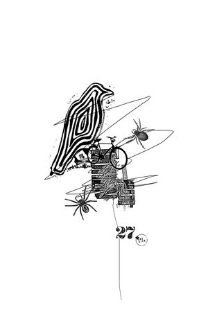 蜘蛛印花华亿平台图片