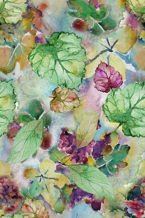 葡萄印花华亿平台图片