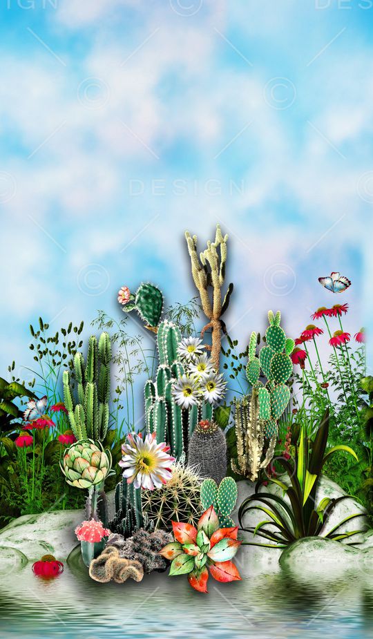 多肉印花华亿平台图片