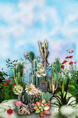 多肉印花华亿平台图片