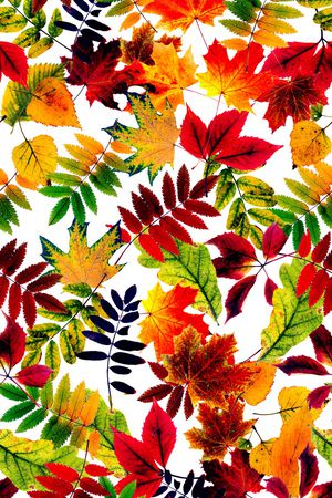 抽象花卉印花华亿平台图片