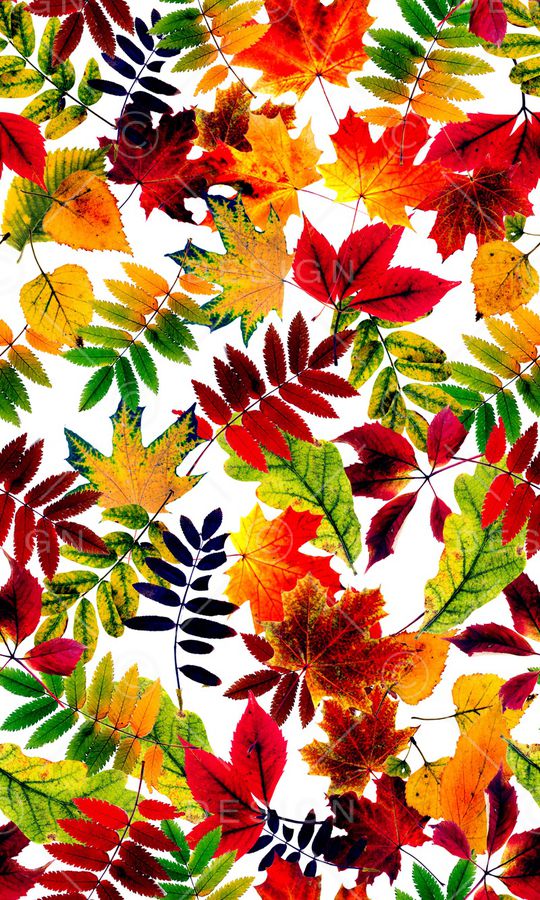 抽象花卉印花华亿平台图片