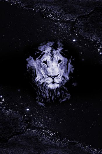 908332-FLZ17-8-12....