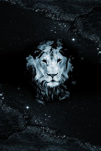 908333-FLZ17-8-12...