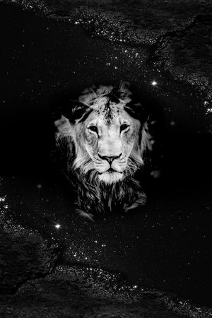 星空印花华亿平台图片