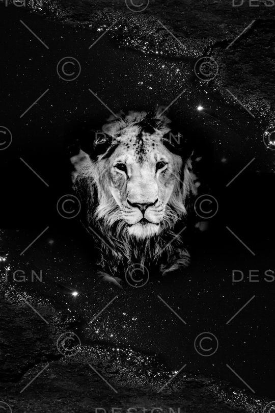 星空印花华亿平台图片