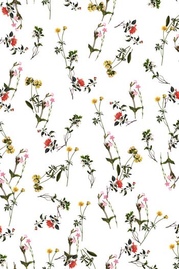 908909-FLZ17-8-22.......